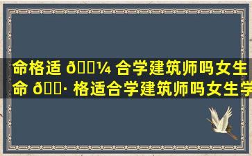 命格适 🐼 合学建筑师吗女生「命 🌷 格适合学建筑师吗女生学什么」